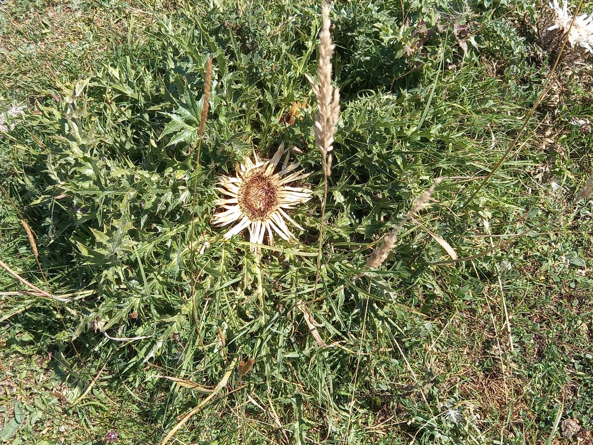 La Kukula tweet media