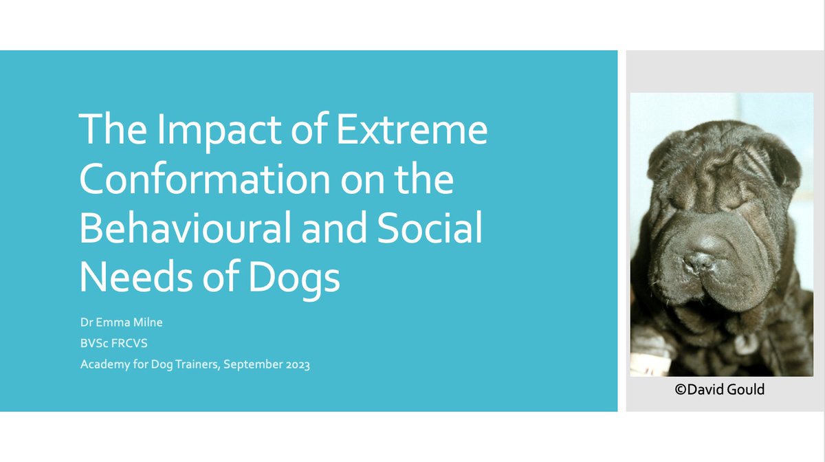 Emma Milne tweet media