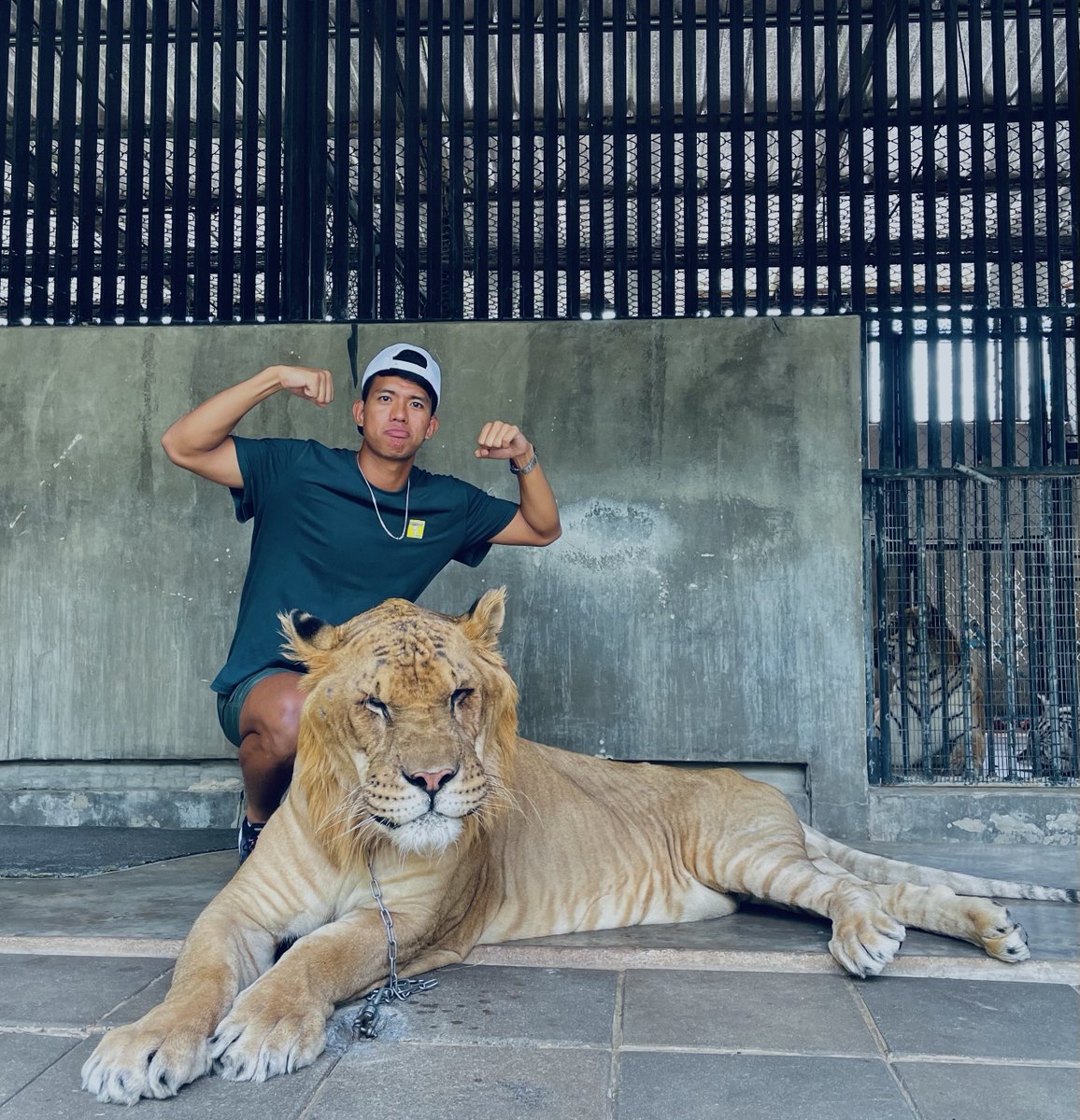 OdishaFC's tweet photo. A day off at the zoo πΎ
#OdishaFC #AmaTeamAmaGame #KalingaWarriors #OFCTour23 #Thailand #PreSeason https://t.co/0A3DsMKeMM