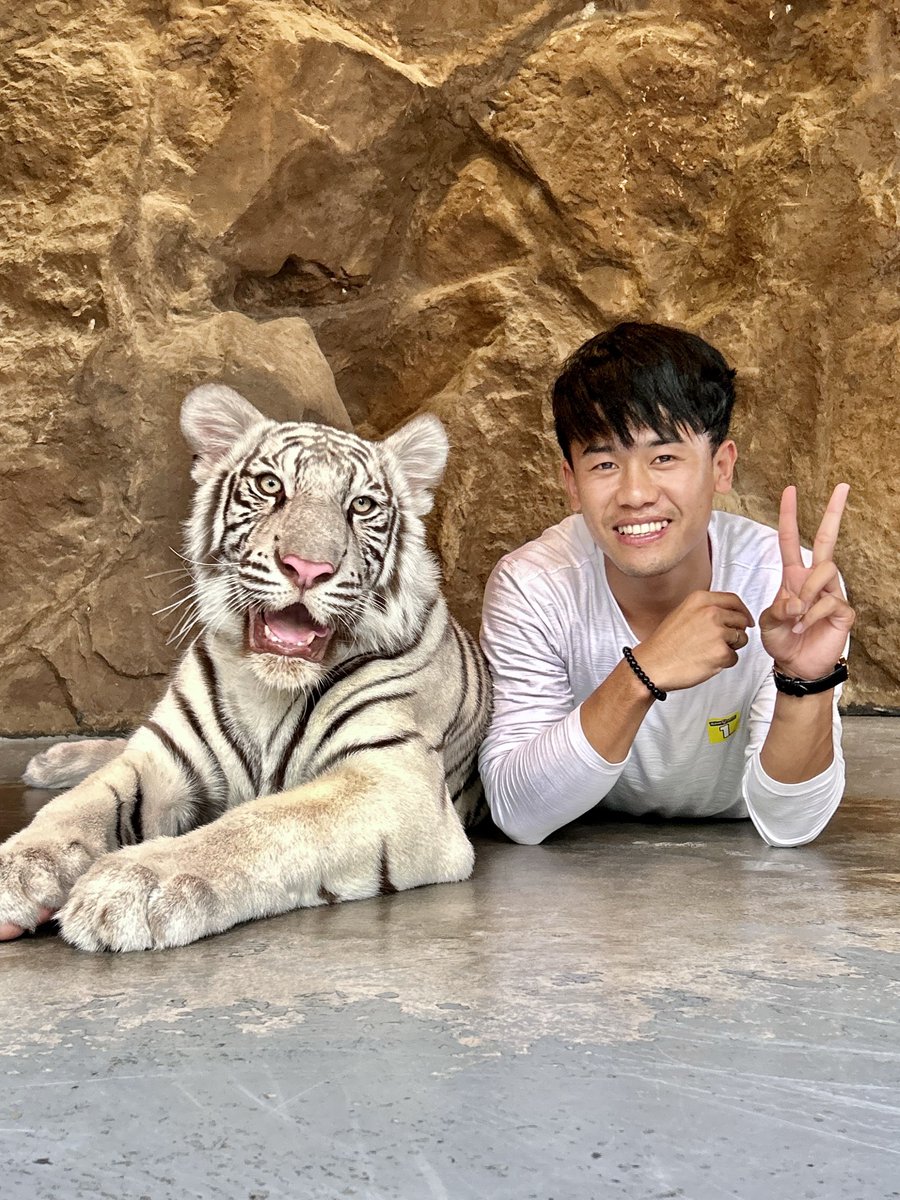 OdishaFC's tweet photo. A day off at the zoo πΎ
#OdishaFC #AmaTeamAmaGame #KalingaWarriors #OFCTour23 #Thailand #PreSeason https://t.co/0A3DsMKeMM