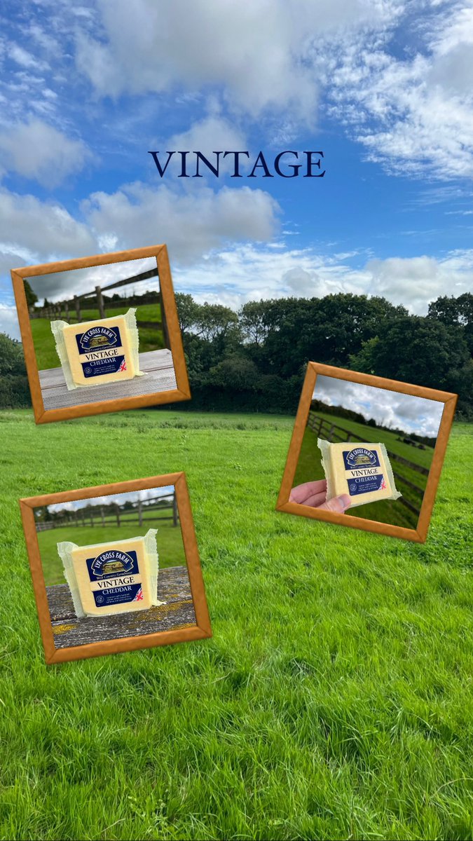 Which flavour is your FAVOURITE🤔 Whatever your preference, we have them all available at the Farm Shop🤩 #lyecrossfarm #cheeselover #somerset #farming #countryside #cheddarcheese #view #bristol #bristolfarming