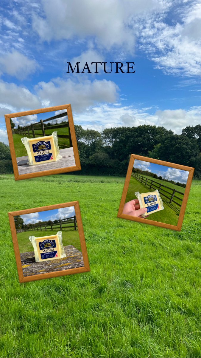 Lye Cross Farm tweet media