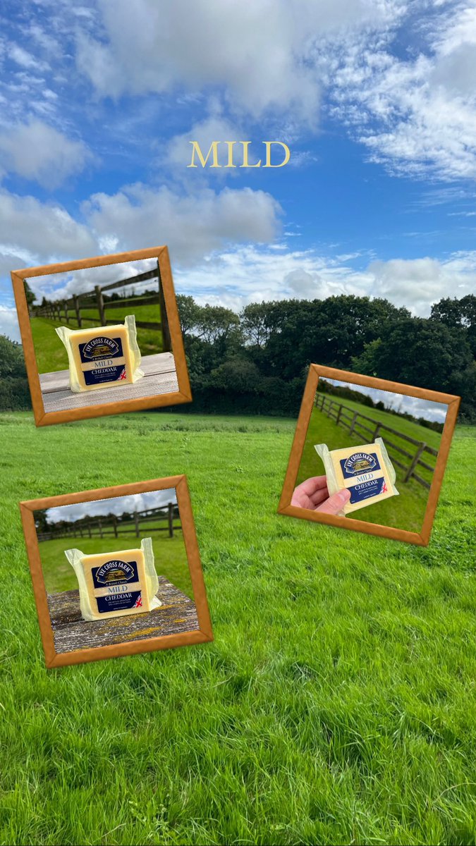 Lye Cross Farm tweet media