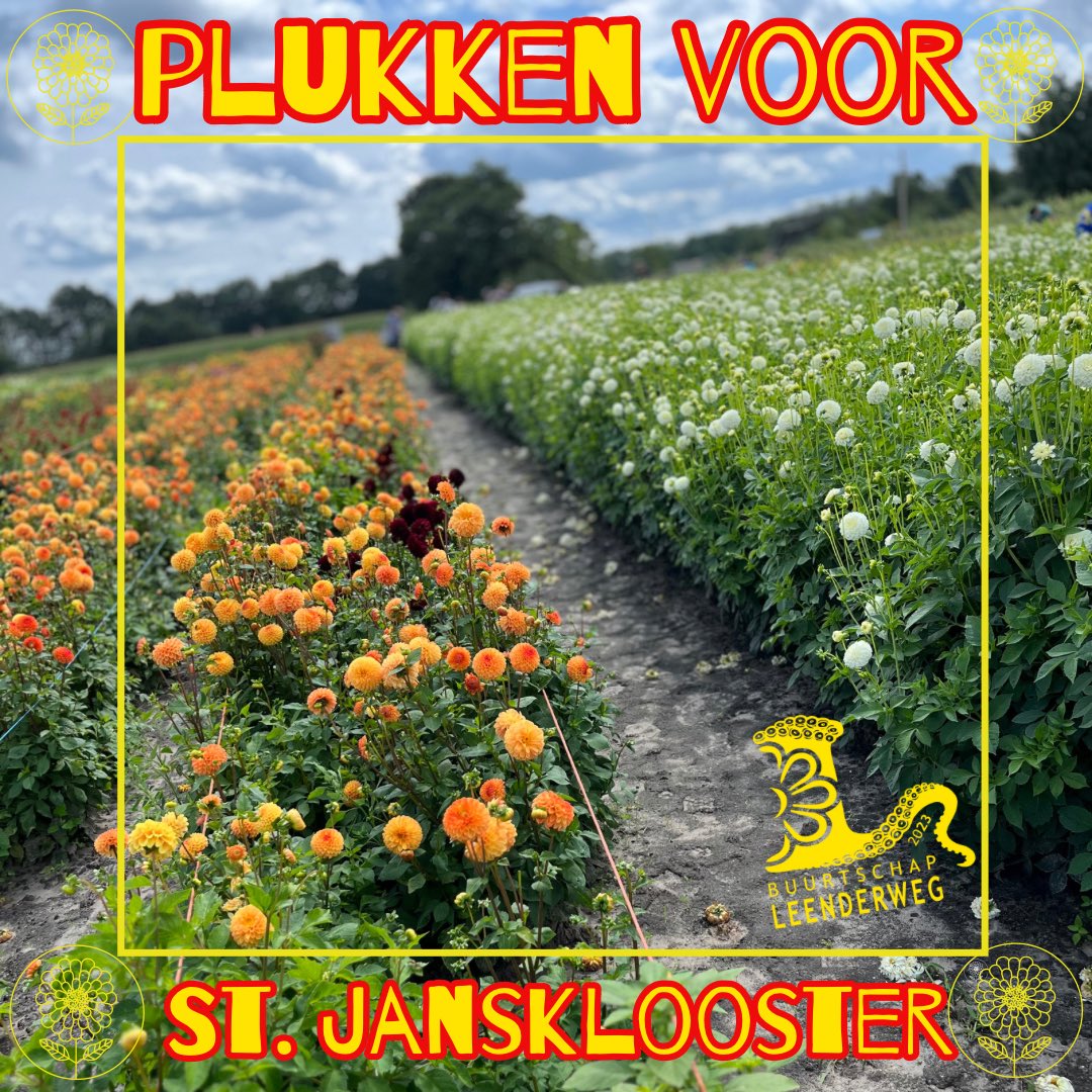 BS Leenderweg tweet media