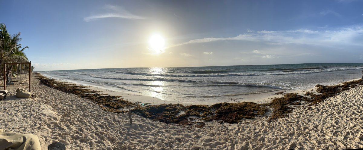 Sam Johnson tweet media