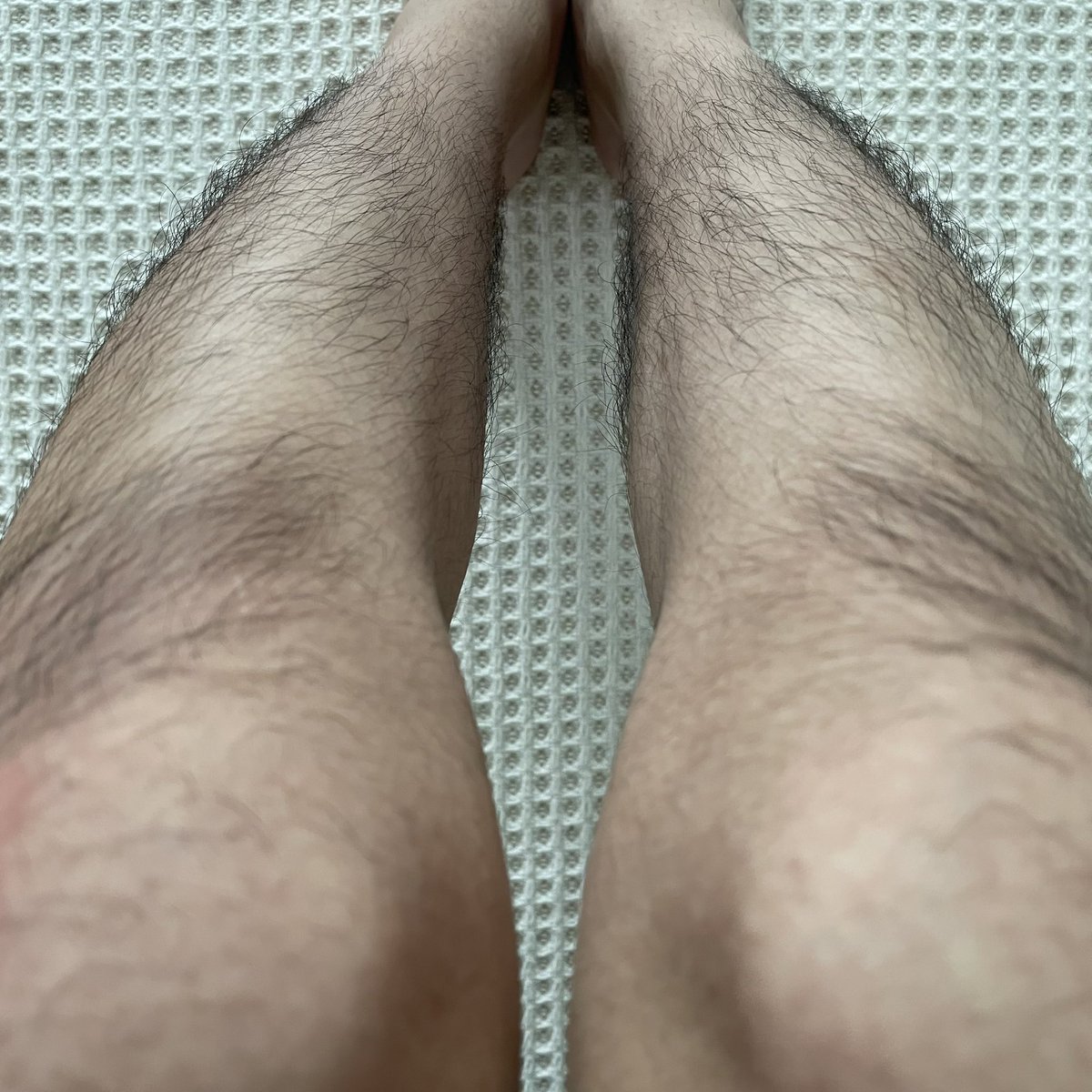ryoo808080's tweet photo. 写真撮ってみたらかなりすね毛濃いのわかる
毛フェチの人いたら反応くださいな
#すね毛 #バイ #ゲイ https://t.co/CDoVZa7pTO