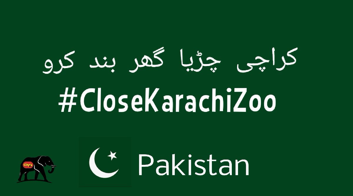 #CloseKarachiZoo
#Karachi3 in #Pakistan 
#Sanctuary4Karachi3 
#LetThemGo 🦣 🦣 🦣
#ToBeAnElephant