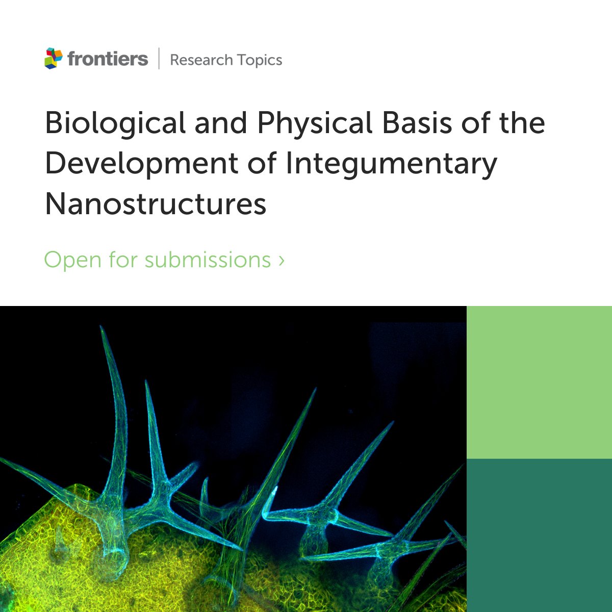 Anupama Prakash (@cyanandteal) on Twitter photo Dear eco-evo-devo community, my colleague Cedric Finet and I are excited to be organizing a research topic around the development of biological nanostructures. Submissions are now open. If your work relates to this topic, please consider submitting 🙂 frontiersin.org/research-topic… Dear eco-evo-devo community, my colleague Cedric Finet and I are excited to be organizing a research topic around the development of biological nanostructures. Submissions are now open. If your work relates to this topic, please consider submitting 🙂 frontiersin.org/research-topic…