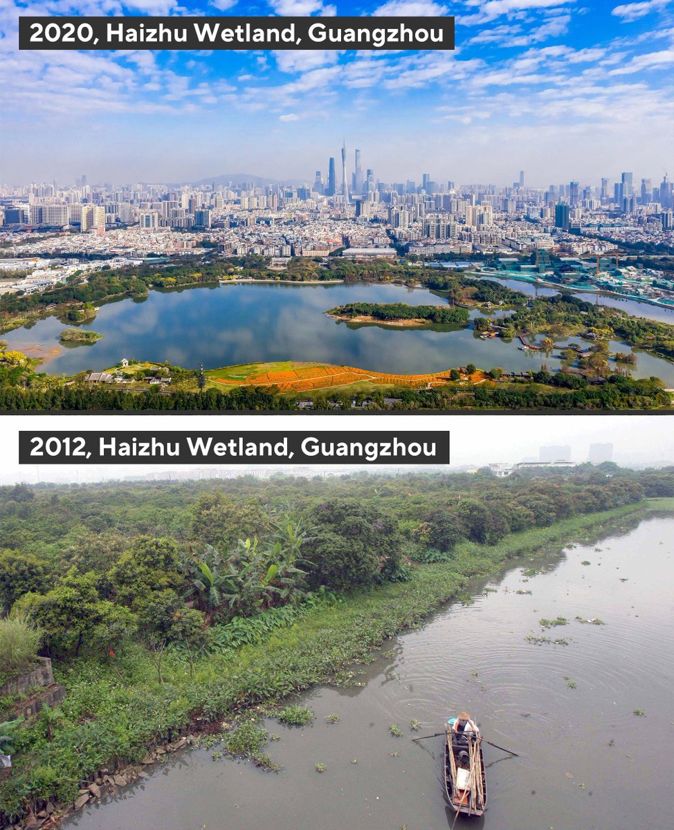 SpokespersonCHN's tweet photo. From a vast, degraded orchard to a national wetland park, the transformation of Guangzhou Haizhu Wetland is a prime example of China’s achievements in promoting harmony between man and nature. #GreenChina https://t.co/D0K8dg5FQA