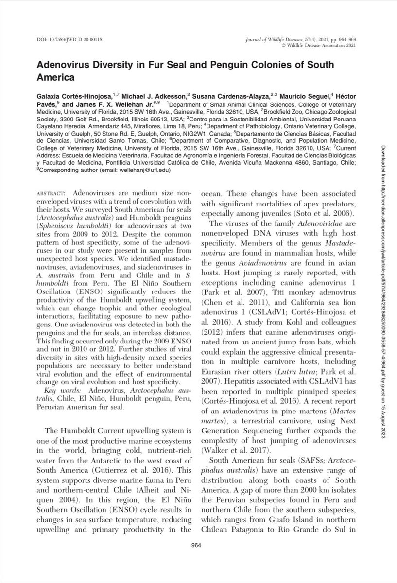 Paper in adenovirus host jump.. let’s keep working  in this system with our international friends ⁦<a href="/Turtle_Doc/">Matt Allender</a>⁩ ⁦<a href="/SeguelMauro/">mauro seguel</a>⁩