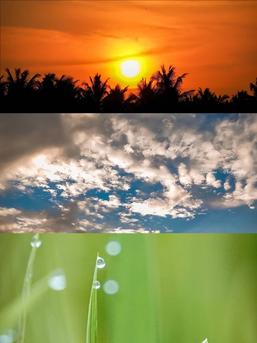ms5228595's tweet photo. Happy independence day 🧡🤍💚
#India #zoomlensphotography https://t.co/vgqYMg60an