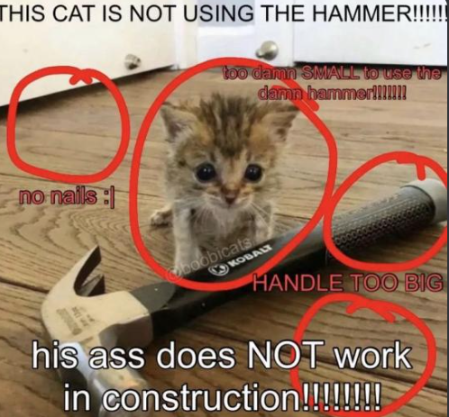 limpergzz's tweet photo. random meme https://t.co/tZVwhWvk56
