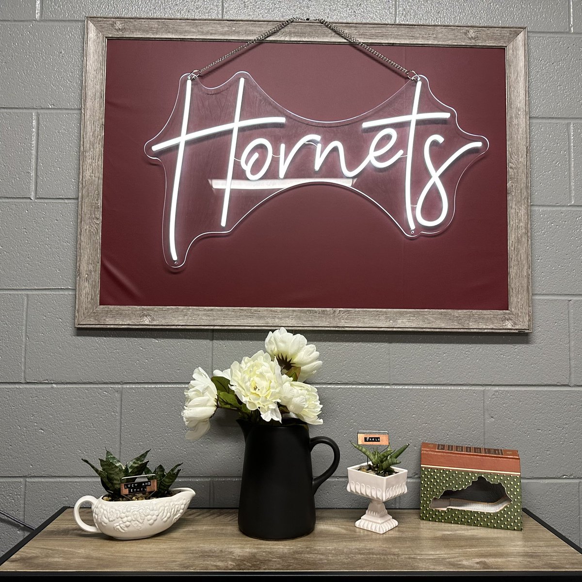 Loving the new additions to my office 🪴🌸