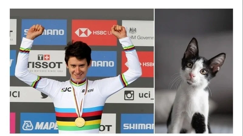 Luca_15_5's tweet photo. Tiberi :uccisione volontaria di un gatto. Per essere campioni servono mente e cuore allineati 
NON SONO QUESTI GLI ESEMPI DA SEGUIRE, non sono questi i campioni! La proposta è che venga sospeso dal ciclismo agonistico
Firma la petizione! https://t.co/7RjuxHayzj via @ChangeItalia https://t.co/q5SHROlvrA