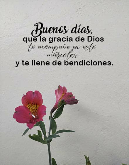 Mayra tweet media