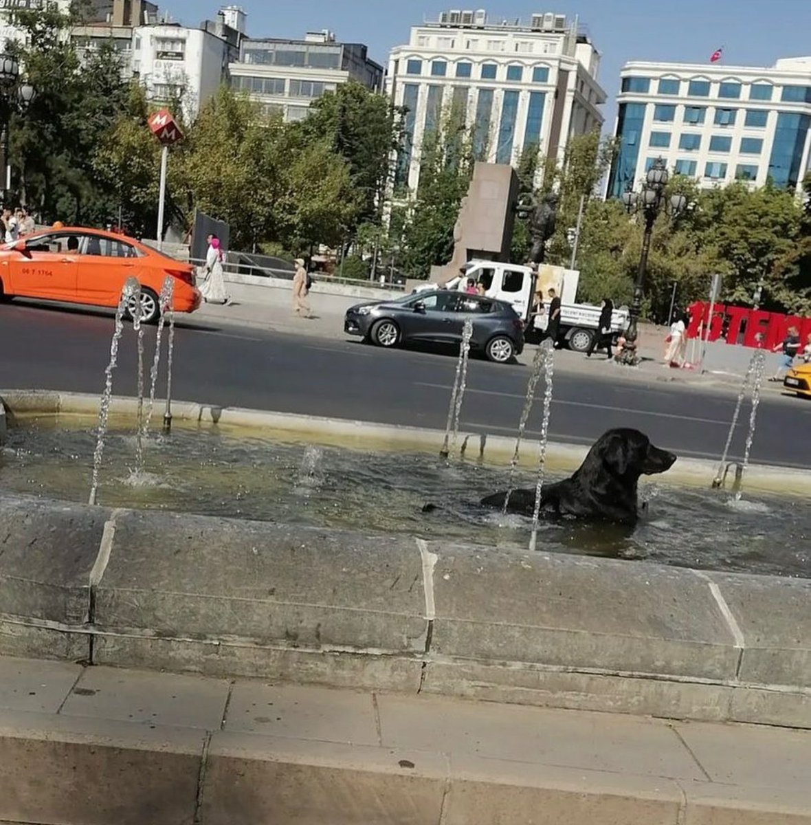 Atatürk bulvarında havuz keyfi
Köpek:1
Ben:0