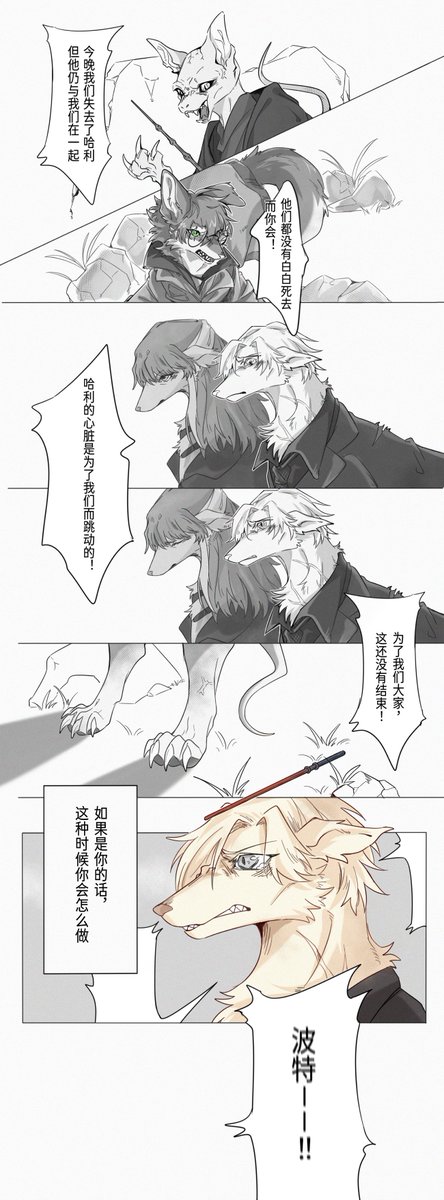 🐺🐾HD to Harry✨
#hpdm #drarry #HarryPotter #ハリドラ