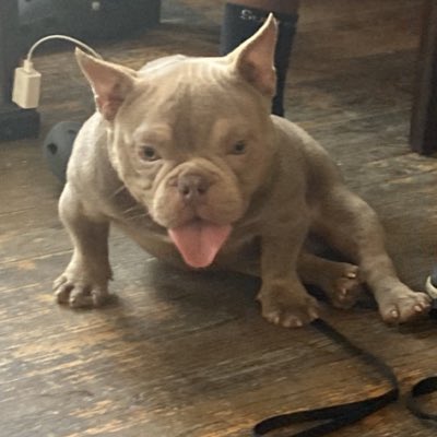 BullyGod_chuck's tweet photo. #NewProfilePic https://t.co/R0MqpOF9dw
