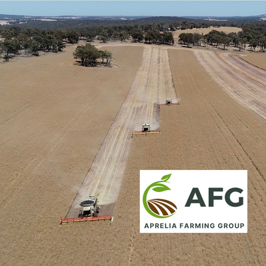 Simon Panizza (@simonpanizza) on Twitter photo 