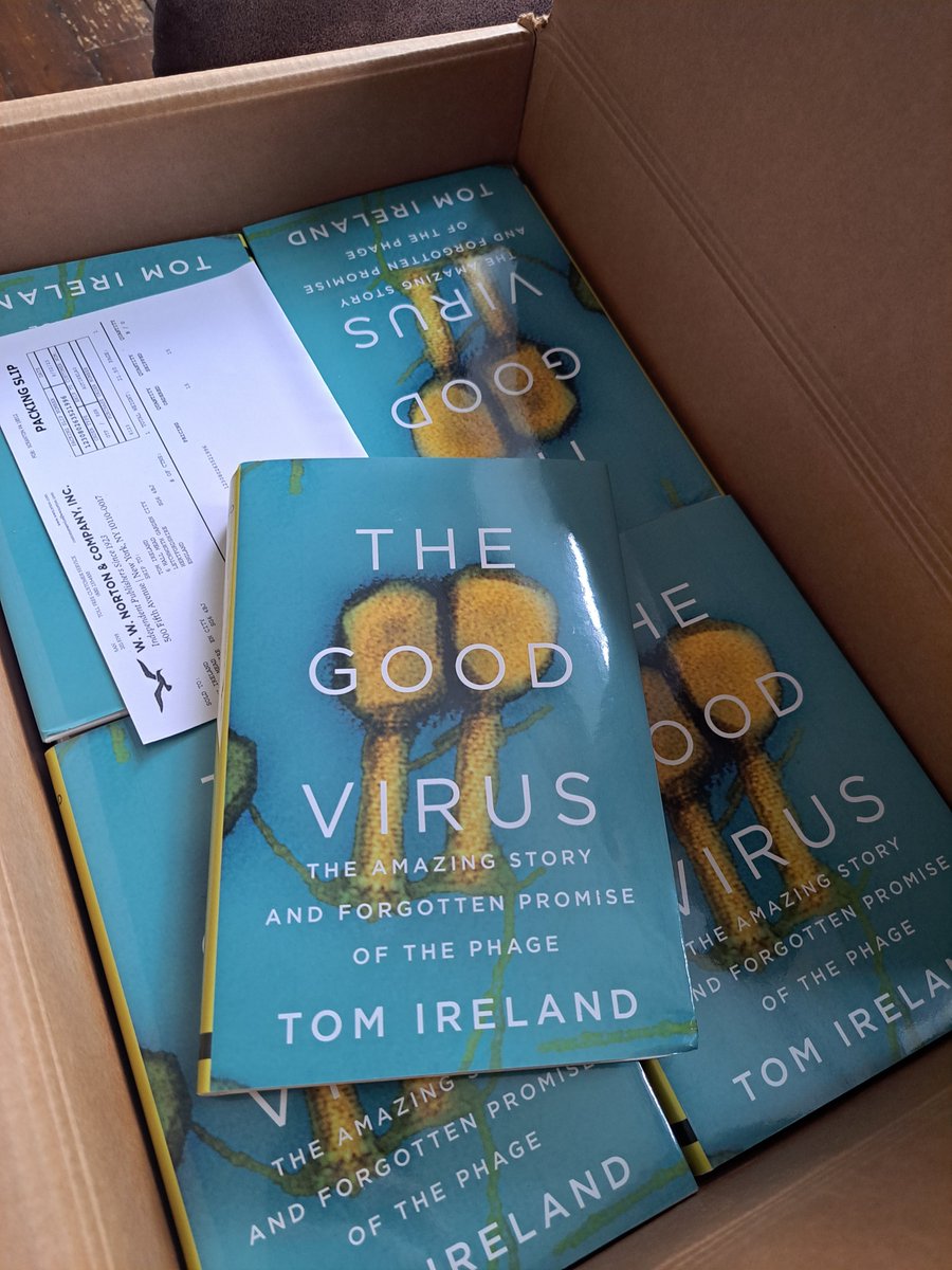 The US edition of THE GOOD VIRUS (featuring two very friendly #phages having a cuddle) looks great! It's available from all good North American booksellers from tomorrow! wwnorton.com/books/97813240…