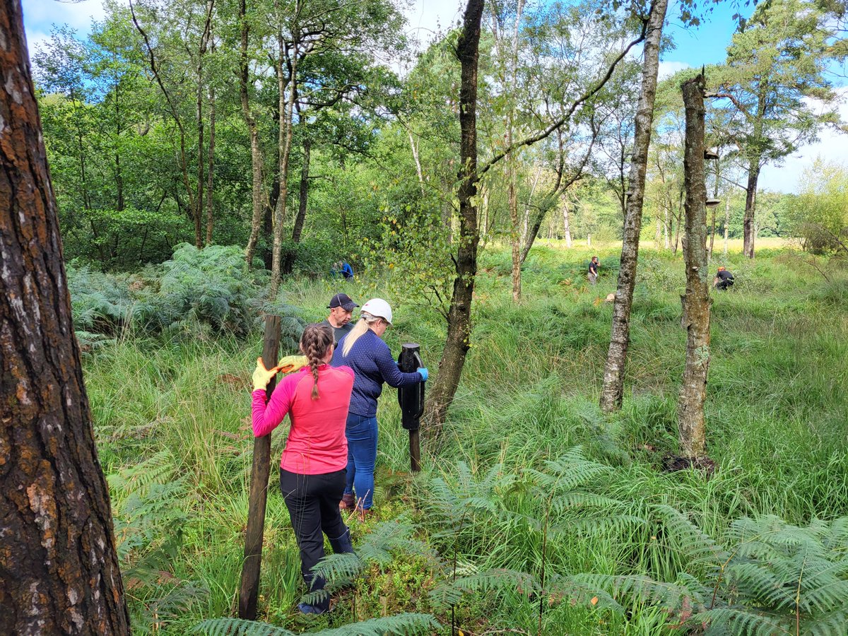 A fantastic morning building leaky dams in the sunshine at Roudsea Nature Reserve with <a href="/NECumbria/">Natural England Cumbria</a> <a href="/TheFloodHub/">The Flood Hub</a> and some of our <a href="/SCRiversTrust/">South Cumbria Rivers Trust</a> volunteers! Thank you to everyone who came along to help! 🌿☀️