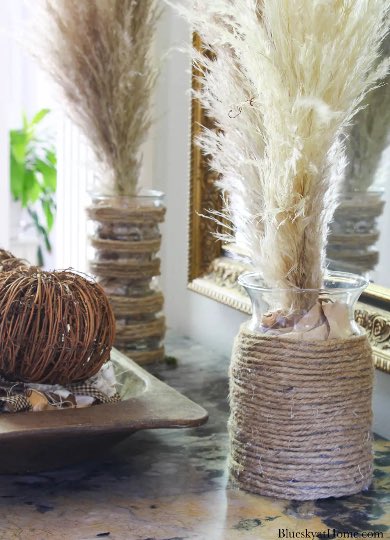 Bluesky at Home tweet media