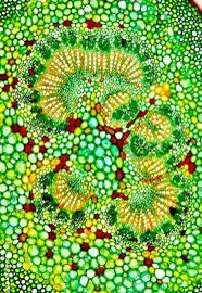 Arpita Kulkarni tweet media