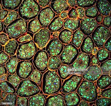 Arpita Kulkarni tweet media