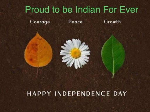 Happy Independence Day India #15august2023