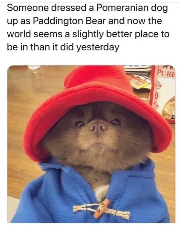 clpronline's tweet photo. Can’t argue with this one bit! https://t.co/tsfkY5IHhd