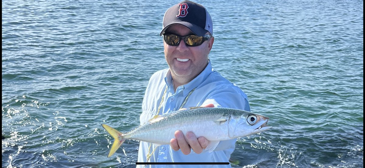 Stayflyfishing tweet media