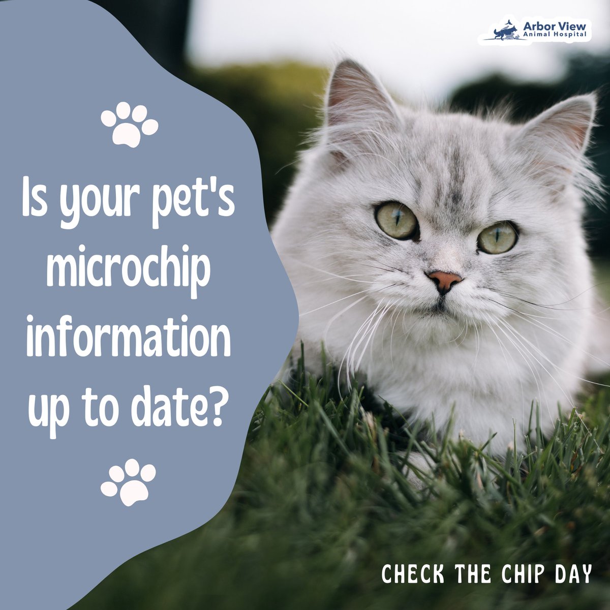Show your pet some love today by getting them microchipped for #NationalChecktheChipDay! Microchipping is a safe and permanent way to identify your pet in case they ever get lost - don't forget to keep your contact info updated. 🐾 #PetMicrochipping