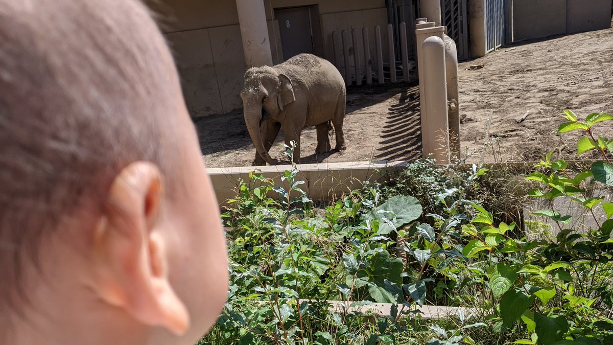 私の盆休みは今日まででやした！