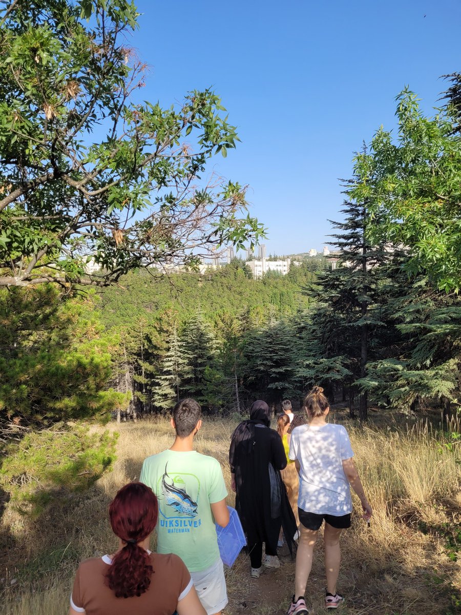 FuncEvoGen Lab olarak 2023 yaz stajyerleri ile kampüs içinde Drosophila melanogaster arazi çalışması bu sene de başarıyla tamamlandı.  #drosophila #nature #campus