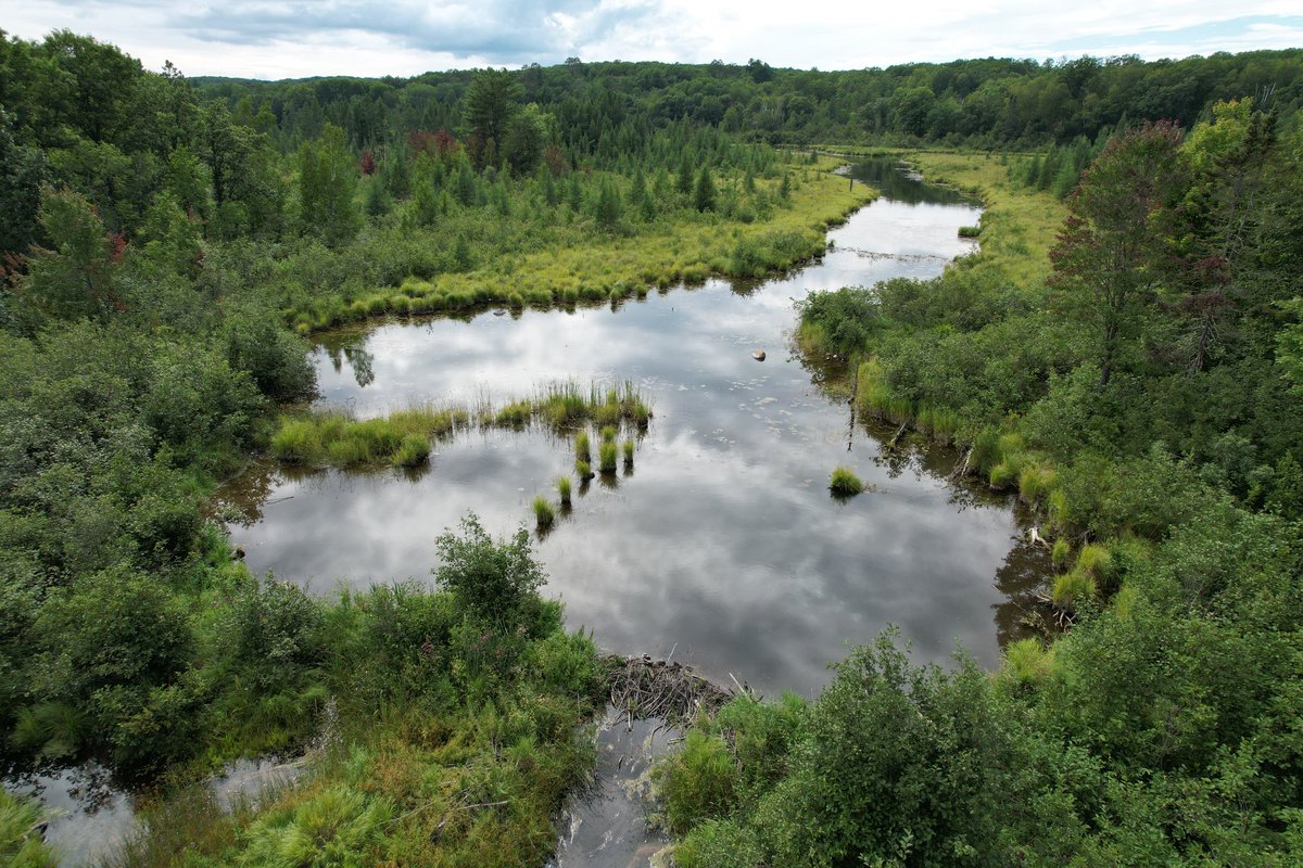 Dr. Emily Fairfax tweet media