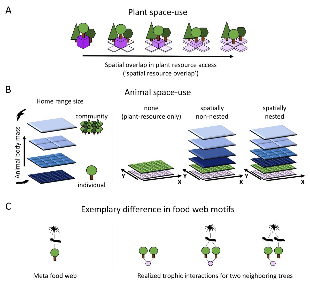 Excited for our new paper in @Ecology_Letters ! We show how space-use of plants and animals shape plant community composition and functioning by altering competition in food webs doi.org/10.1111/ele.14…