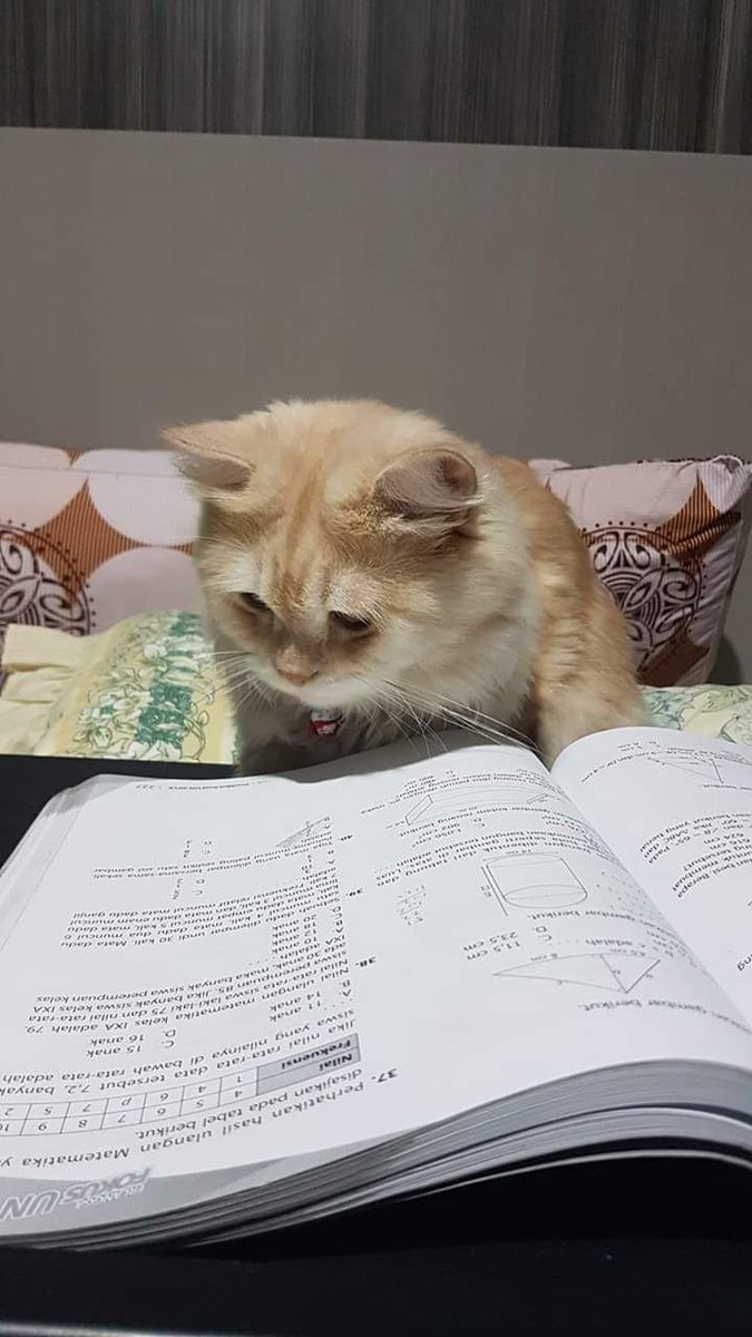 Thank God..I'm cat.
#cat #อั้มพัชราภา #อิงล็อต #เพชรโอสถานุเคราะห์ #14AugustBlackDay #15august2023 #789SURVIVALFINALSTAGE #AcrossTheSpiderVerse #Adana #telegram #TelanganaElection2023 #HANBIN #sexy #fun #massage #JENNIE #omeorm #onlyfan #FullHD