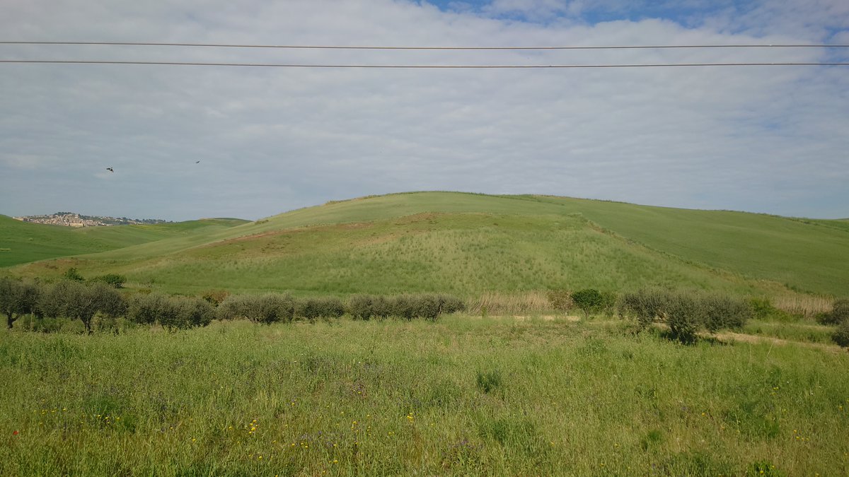 ItalyWith's tweet photo. Comitini, Italy 🇮🇹
#tft #goodmorning #italy #buongiorno #italia #thephotohour #comitini #traveller #sicilia #sicily #sun #landscapes #travelphotography #landscapephotography #photographer https://t.co/gNzEySJEe0
