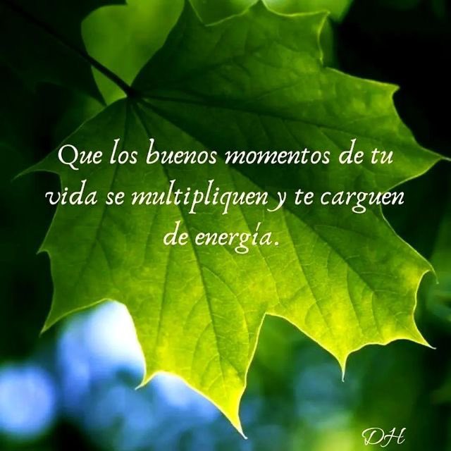 Cecilia01434232's tweet photo. @vpicketch @lopezobrador_ Buen día Vilma, que tengas bonito día y sobretodo con mucha salud y bienestar.
Esa canción me gusta mucho.
#OposiciónConfundidaYMediocre
#PoderJudicialCorrupto
#ElCartelDeLaToga
#FiscalesCarnales
#EnMarchaPlanC https://t.co/OKhjKUgi9w