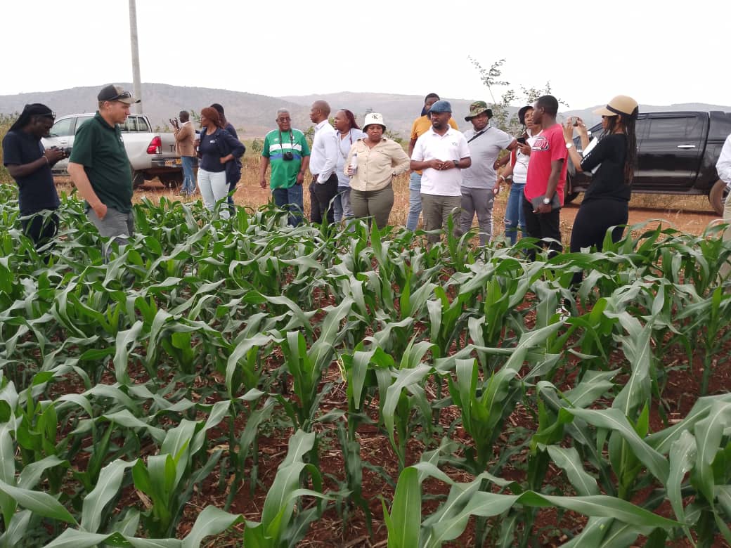 KireheDistrict's tweet photo. Uyu munsi muri @SectorNasho bakiriye abashyitsi bayobowe na V/M @NzirabatinyaMo4 baje mu rugendo shuri baturutse muri LESOTHO bari kumwe na Minisitiri w'ubuhinzi THOBO MOFOSI n'abadepite 2 baje kwiga uko kuhira bikorwa kugirango bazabikore iwabo bakurikije uko bikorwa I Nasho https://t.co/VngzIkADE8