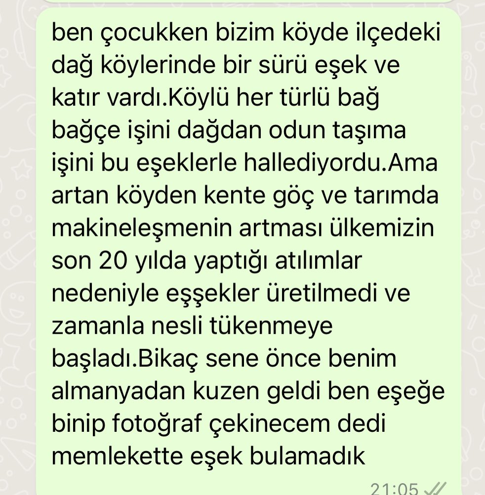 Salih Ayberk ÖZER tweet media