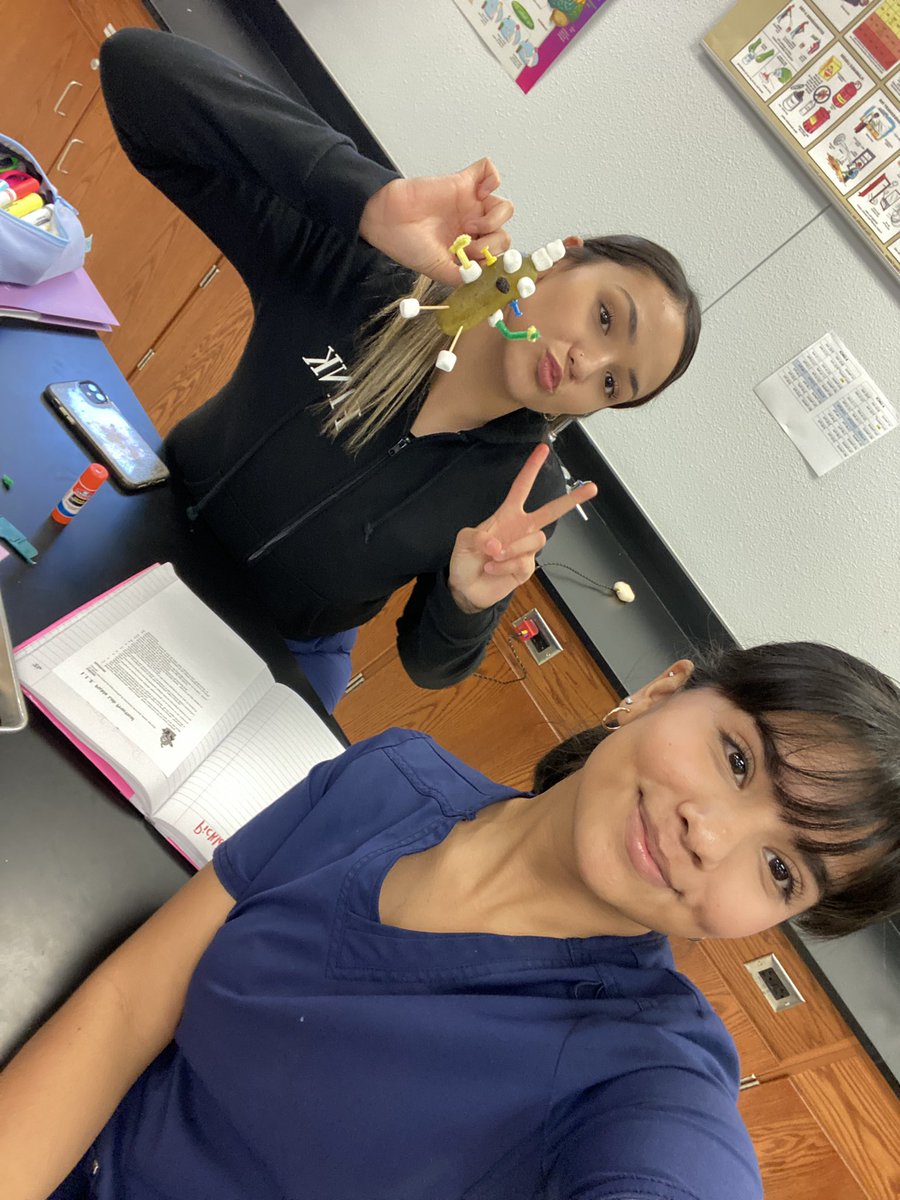 MiaCamilaBarra1's tweet image. Our pickle person #drlunasclass