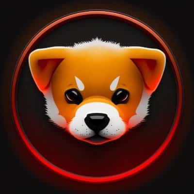 LAUNCHING SOON 👀 🐾