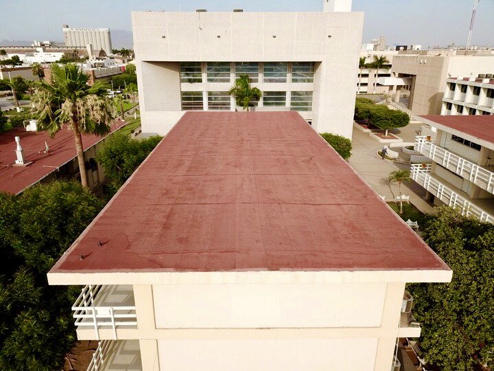 ITSON Universidad tweet media
