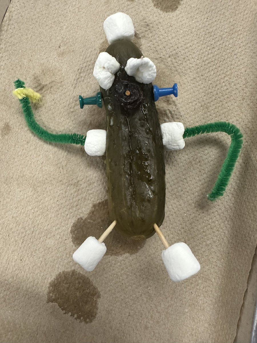 RuvalcabaKaylee's tweet image. Me and Damian made our pickle person in #drlunasclass .