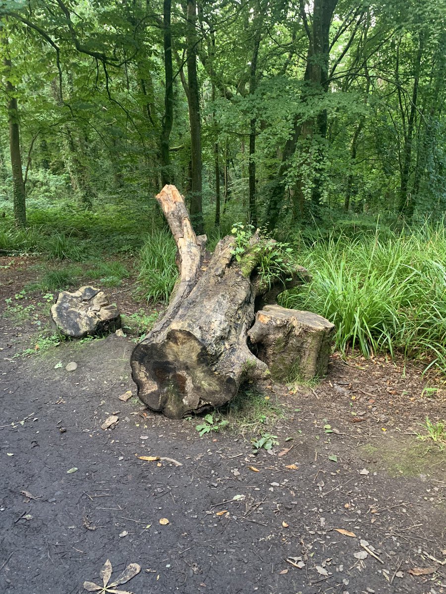 OurPositiveFuture tweet media