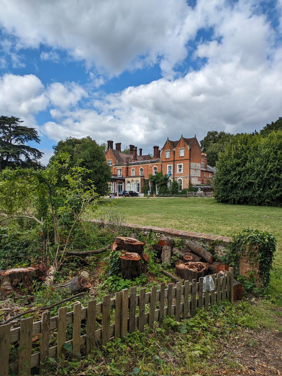 Rebecca Churchill tweet media