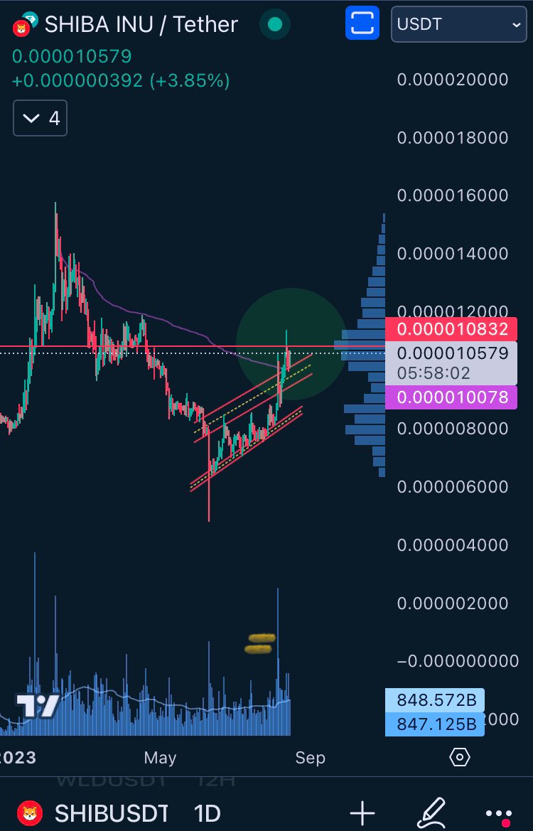KryptoJamus's tweet photo. @Shibtoken @ShibaArmyReal getting close to 11! If bulls push the price above 10832, and keep it there for 5 days. Very bullish sign. >AVWAP HIGH YTD, keeping support at 09963. As always manage your  risk. https://t.co/PrlGWqHKkt