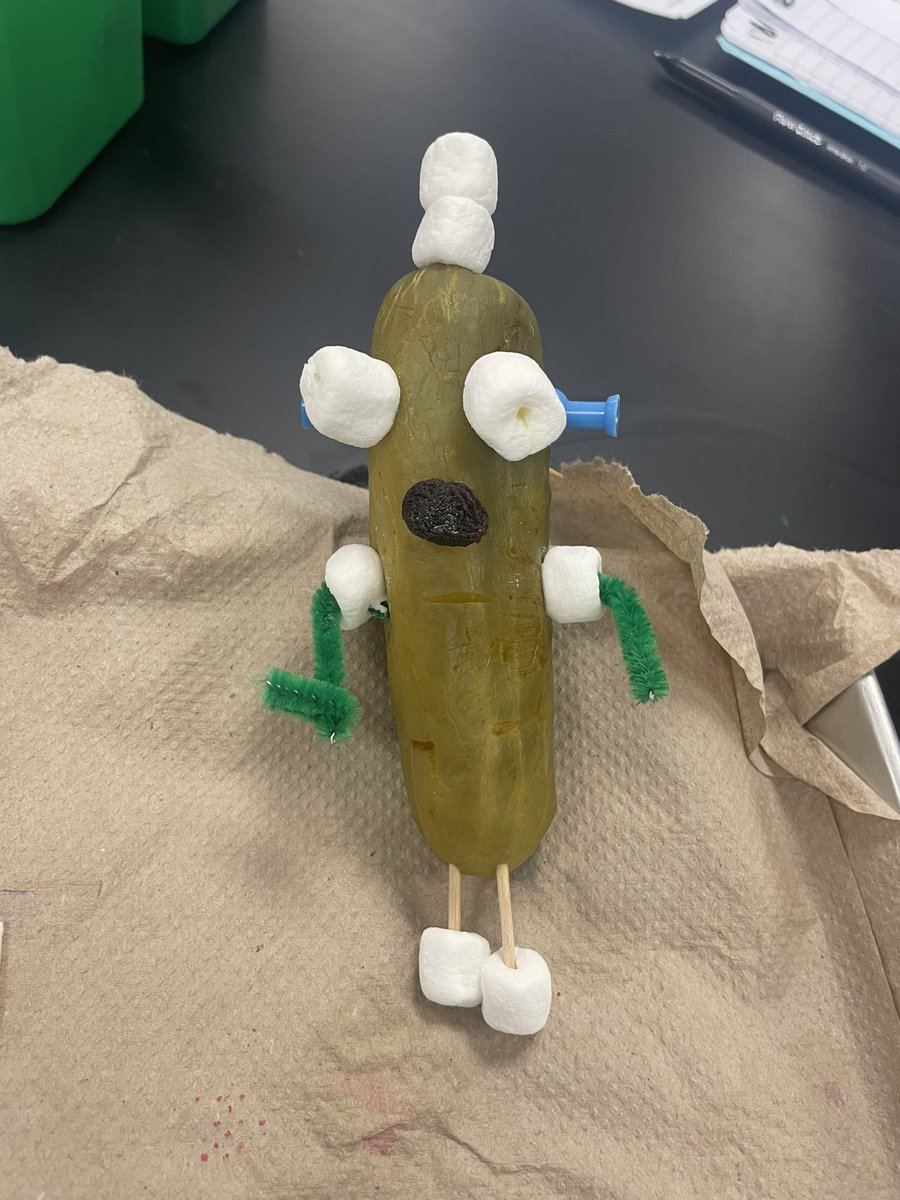 NoahmMendez's tweet image. #drlunasclass