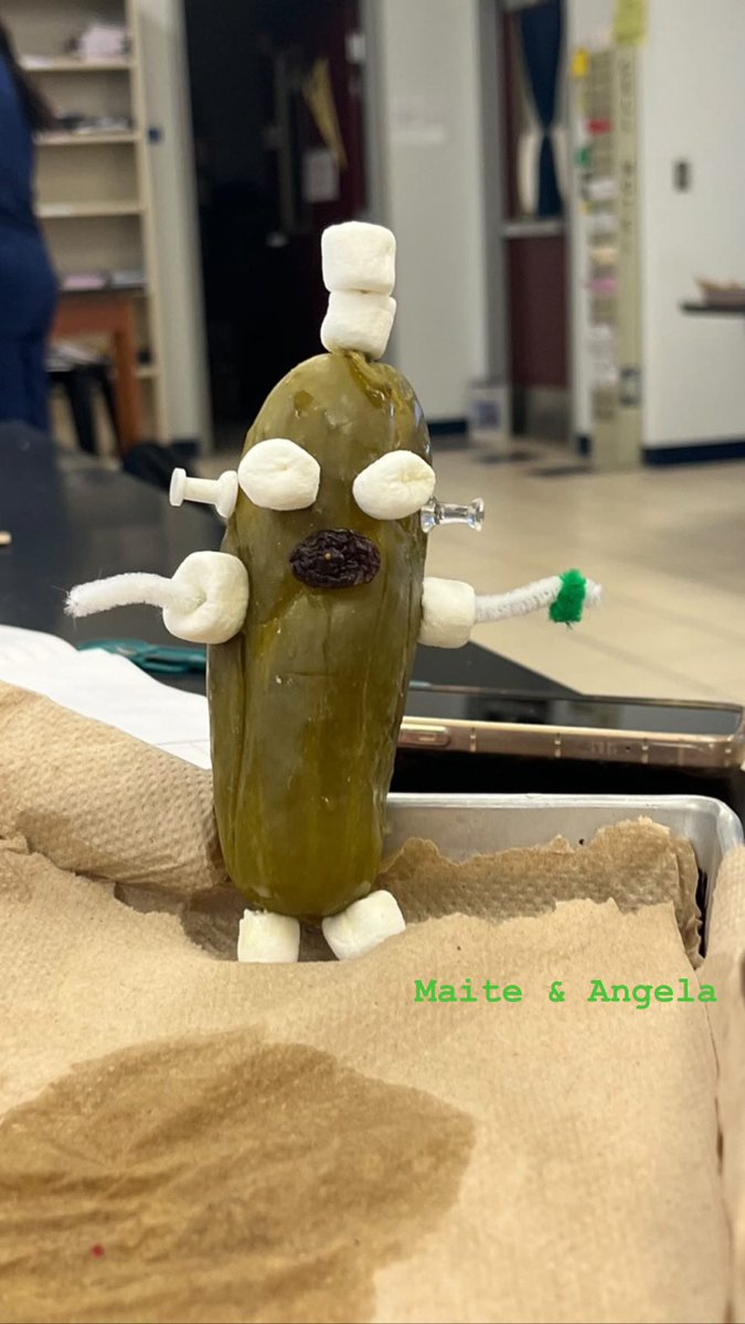 Lovemaiteee's tweet image. Pickle lab!💚 #drlunasclass
